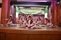 Prinzenparty-2019-292