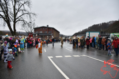 Rosenmontag2020_086