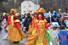 Rosenmontag2020_108