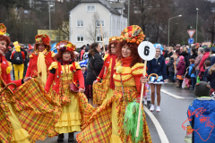Rosenmontag2020_109