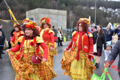 Rosenmontag2020_113