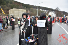 Rosenmontag2020_117