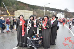 Rosenmontag2020_120