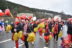 Rosenmontag2020_154