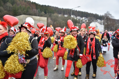 Rosenmontag2020_155