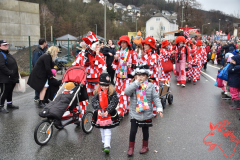 Rosenmontag2020_171