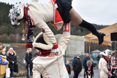 Rosenmontag2020_181