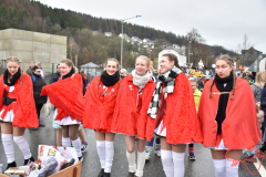 Rosenmontag2020_204
