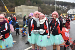 Rosenmontag2020_206