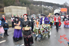 Rosenmontag2020_222