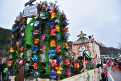 Rosenmontag2020_225