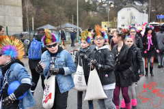 Rosenmontag2020_255
