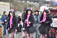 Rosenmontag2020_256