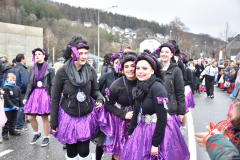 Rosenmontag2020_266