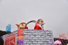 Rosenmontag2020_287