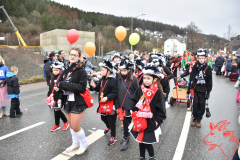 Rosenmontag2020_291