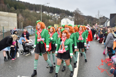 Rosenmontag2020_293