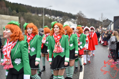 Rosenmontag2020_294
