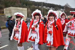 Rosenmontag2020_295