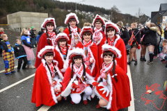 Rosenmontag2020_296