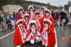 Rosenmontag2020_297